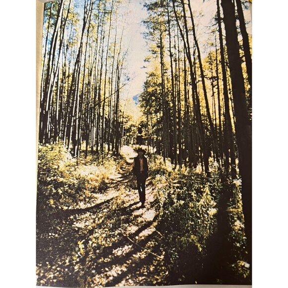 John Denver 1975 Windsong Concert Program Tour Book - Picture 5 of 12